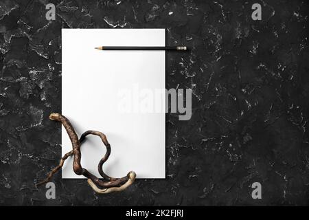 Carta intestata, matita, ramo asciutto Foto Stock