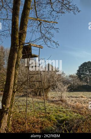 pelle sollevata, albero stand o cervi stand utilizzato dai cacciatori in silvicoltura Foto Stock