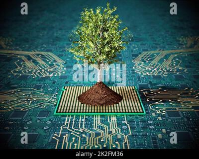 Albero con foglie verdi con terreno in piedi su PCB. Illustrazione 3D Foto Stock