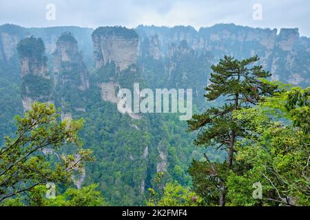 Montagne di Zhangjiajie, Cina Foto Stock