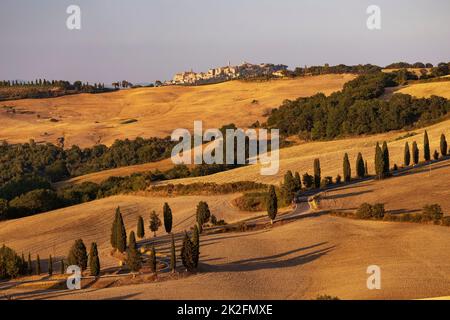 Cipressi di Monticchielo, tipico paesaggio toscano vicino a Montepulciano Foto Stock