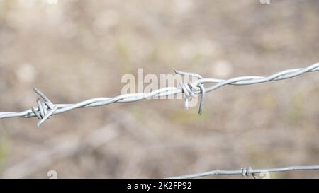 Filo spinato. Parte di recinzione fattoria di protezione. Un primo piano di una recinzione di filo spinato in un allevamento di bestiame, proteggendo la proprietà privata Foto Stock