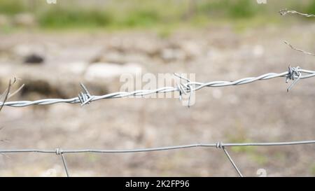 Filo spinato. Parte di recinzione fattoria di protezione. Un primo piano di una recinzione di filo spinato in un allevamento di bestiame, proteggendo la proprietà privata Foto Stock