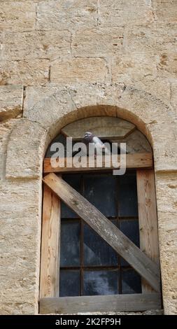 Vecchia finestra a bordo di un edificio abbandonato. Foto Stock