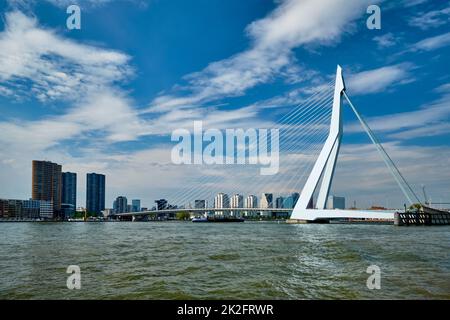 Vista di Rotterdam su Nieuwe Maas con il ponte Erasmusbrug. Rottherdam, Paesi Bassi Foto Stock