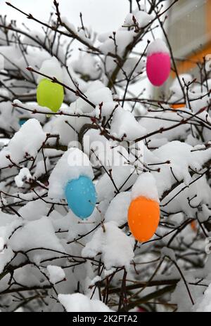 Uova di pasqua colorate con neve fresca Foto Stock