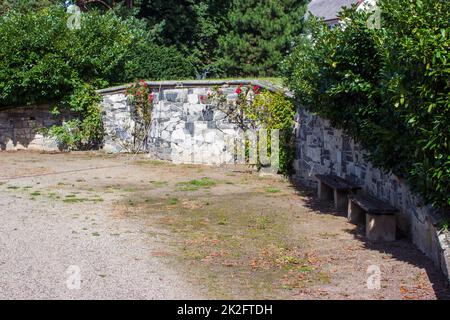 Muro di pietra con rose rampicanti Foto Stock