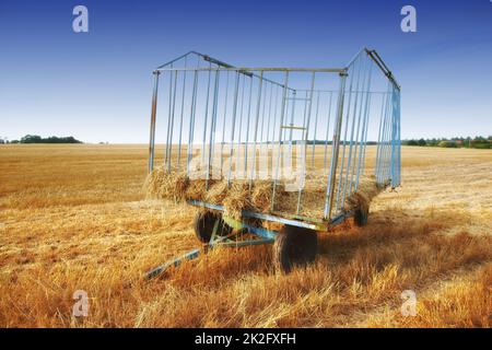 Una foto di un campo dopo il raccolto Foto Stock