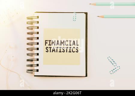 Visualizzazione concettuale Statistiche finanziarie. Parola scritta su un insieme completo di dati di flusso e di stock di un'azienda Foto Stock