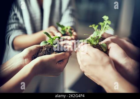 Tutte le cose hanno il potenziale di crescere. Closeup shot di un gruppo di persone ognuno tenendo una pianta che cresce nel suolo. Foto Stock