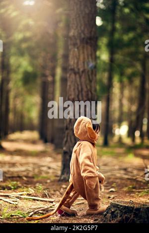 Quando si va nei boschi oggi.... Sparato di una bambina che cammina attraverso la foresta mentre vestito come un orso. Foto Stock