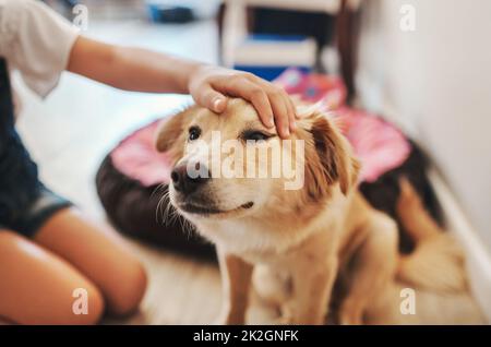 Che bel ragazzo. Scatto corto di un bambino irriconoscibile che accarezzava il suo cane nel soggiorno di casa. Foto Stock