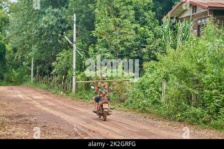 Un contadino in una camicia colorata porta un tronco di bambù sulla spalla, mentre cavalca una moto, presa a Sakon Nakhon, Thailandia Foto Stock