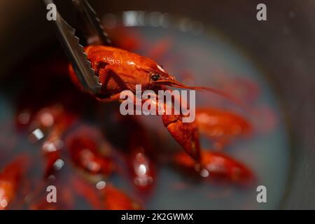 In una pentola vengono bolliti degli appetitosi gamberi rossi freschi. Gamberi per birra. Foto Stock