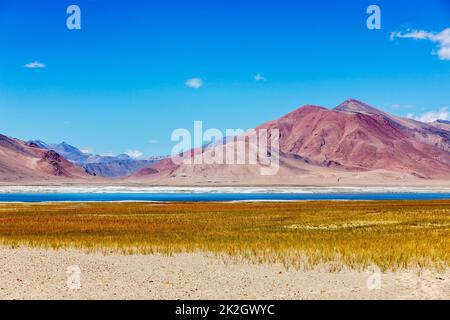 Salt Lake Tso Kar in Himalaya, Ladakh Foto Stock