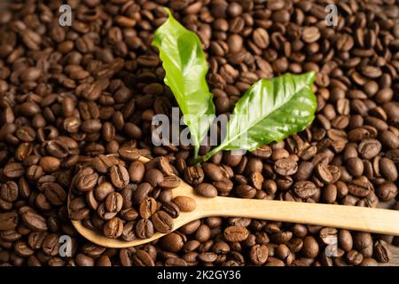 Caffè in chicchi medio arrostito su cucchiaio di legno con foglia al mattino fresco. Foto Stock