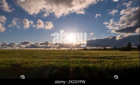 Incredibile tramonto sul campo Foto Stock