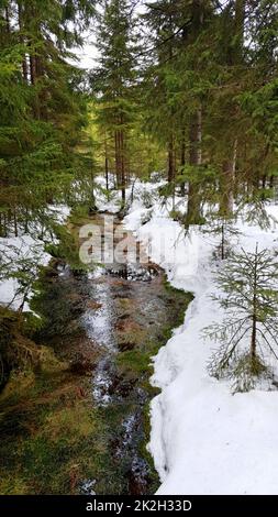 Riserva naturale di Kladska Foto Stock