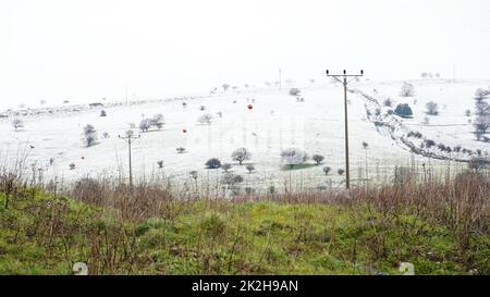 Colline coperte di neve in Golan Heights, Israele. Neve che posa su erba verde. Foto Stock