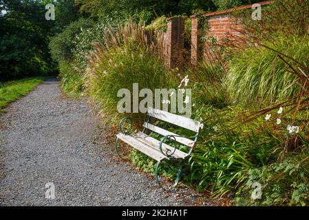 Panca vuota del parco da qualche parte in un giardino in Devon, Inghilterra. Foto Stock