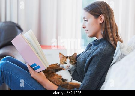 Il giro di moms è il punto più coziest per un pisolino. Scatto di una giovane donna che legge un libro con un gatto sul suo grembo a casa. Foto Stock