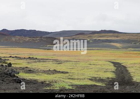 Paesaggio islandese vicino al vulcano Hverfell, punto di riferimento islandese Foto Stock