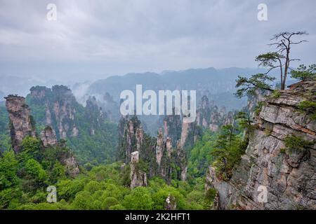 Montagne di Zhangjiajie, Cina Foto Stock