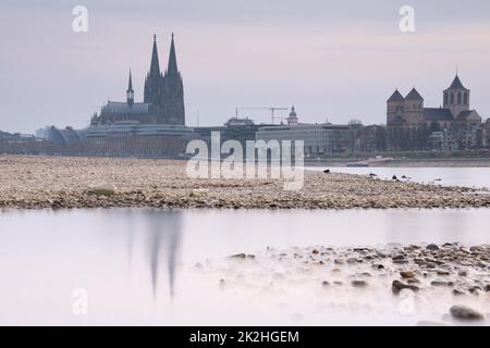 Siccità in Germania, acqua bassa sul fiume Reno Foto Stock