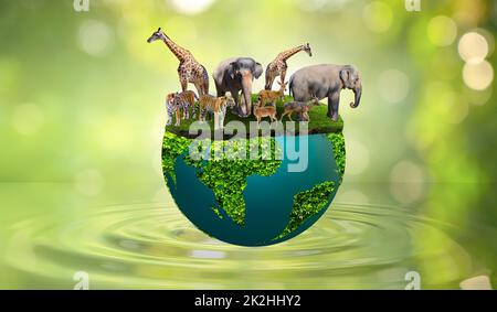 World Wildlife Day concetto Riserva Naturale conservare Riserva Naturale tigre cervo riscaldamento Globale Pan cibo Ecologia mani umane Foto Stock