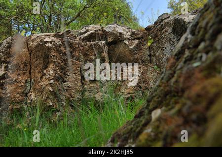 Vista del Big Jupta le alture del Golan, cratere di buca nella foresta di Odem, Israele settentrionale Foto Stock