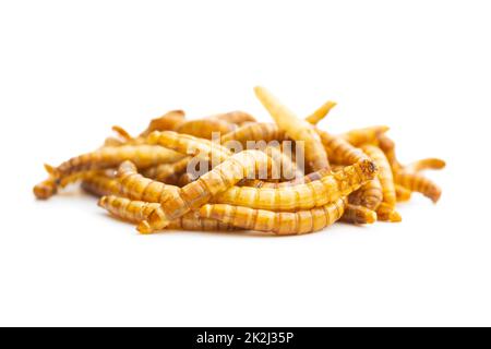 Vermi salati fritti. Lombrichi arrosto. Foto Stock