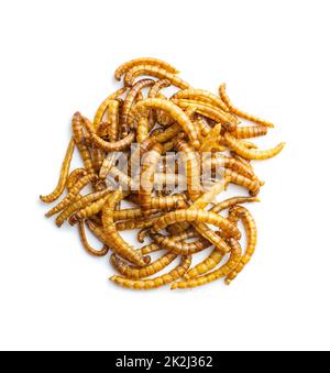 Vermi salati fritti. Lombrichi arrosto. Foto Stock