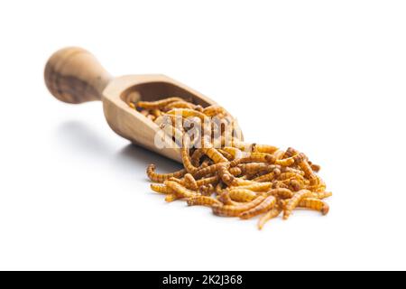 Vermi salati fritti in paletta di legno. Lombrichi arrosto. Foto Stock