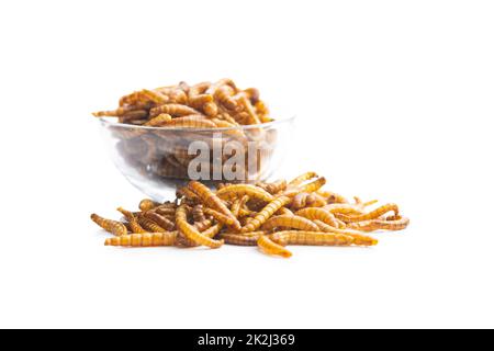 Vermi salati fritti. Lombrichi arrosto. Foto Stock