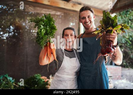 Scegli il tuo preferito. Ritratto di una giovane coppia felice che si posa insieme tenendo mazzi di carote e barbabietole appena raccolte nella loro fattoria. Foto Stock