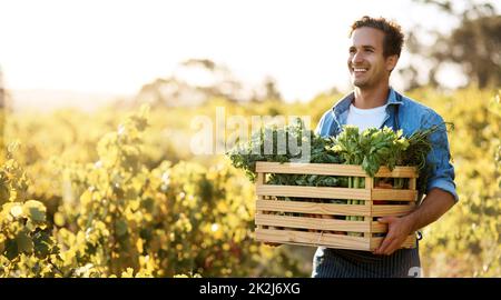 Il bounty dei miei sforzi. Shot di un giovane che tiene una cassa piena di prodotti freschi raccolti in una fattoria. Foto Stock