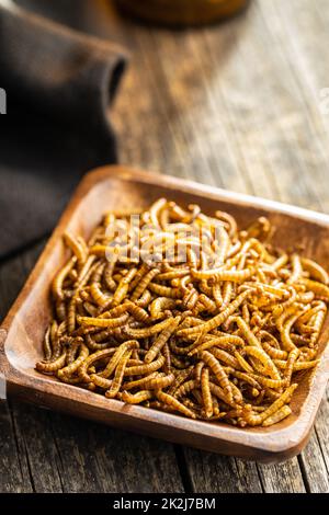 Vermi salati fritti. I mealworm arrostiti in ciotola. Foto Stock