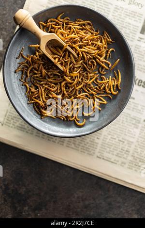 Vermi salati fritti. Lombrichi arrosto su piatto. Foto Stock