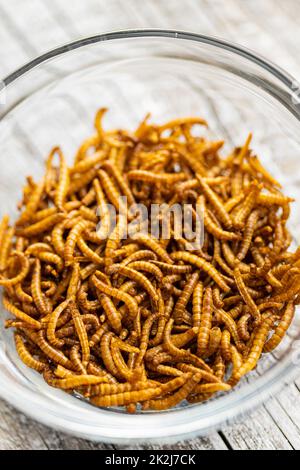 Vermi salati fritti. I mealworm arrostiti in ciotola. Foto Stock