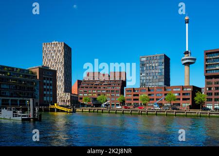 Paesaggio urbano di Rotterdam con Euromast e il fiume Nieuwe Maas Foto Stock