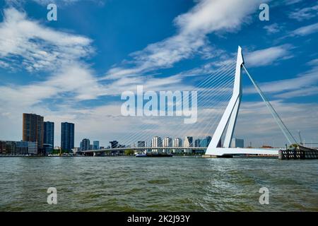 Vista di Rotterdam su Nieuwe Maas con il ponte Erasmusbrug. Rottherdam, Paesi Bassi Foto Stock