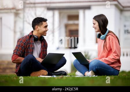 Mi piace studiare con te. Foto di due studenti che utilizzano i loro notebook mentre si trovano all'esterno del campus. Foto Stock