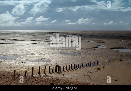 Mudflats e Sand a Snettisham Beach a Low Tide, Snettisham UK Foto Stock