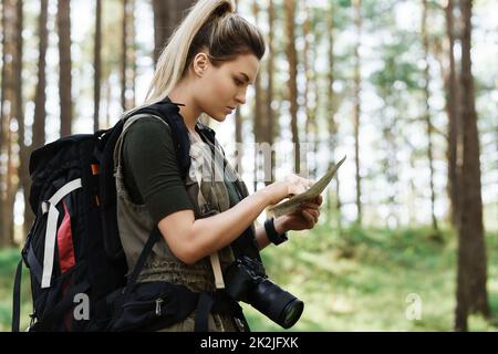 Escursionista femminile con grande zaino utilizzando la mappa per orienteering nella foresta Foto Stock