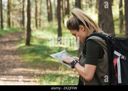 Escursionista femminile con grande zaino utilizzando la mappa per orienteering nella foresta Foto Stock