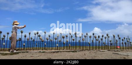 Jialulan Recreation Area, Taitung gode della splendida costa di Taitung Foto Stock