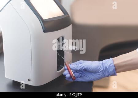 L'operatore di laboratorio inserisce il tubo del sangue nell'analizzatore di elettroliti animali. Foto Stock