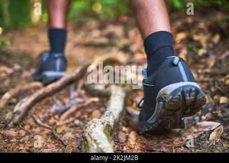 Trova nuovi percorsi da esplorare. Ripresa retroguidata di un escursionista non identificabile che cammina nella foresta. Foto Stock