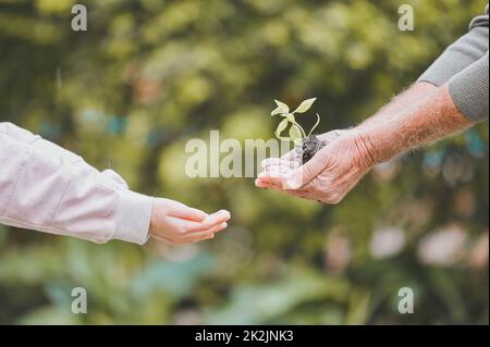 Oggi inizia un domani più verde. Sparato di un gruppo di anziano irriconoscibile e una bambina che tiene una pianta che cresce dal suolo. Foto Stock