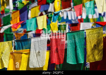 Bandiere buddiste di preghiera lunga a McLeod Ganj, Himachal Pradesh, India Foto Stock